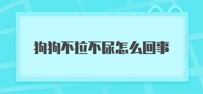 狗狗不拉不尿怎么回事