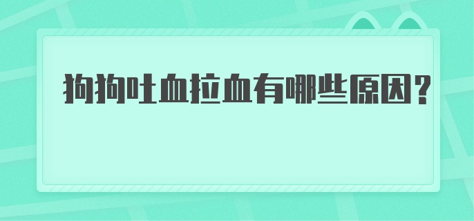 狗狗吐血拉血有哪些原因?