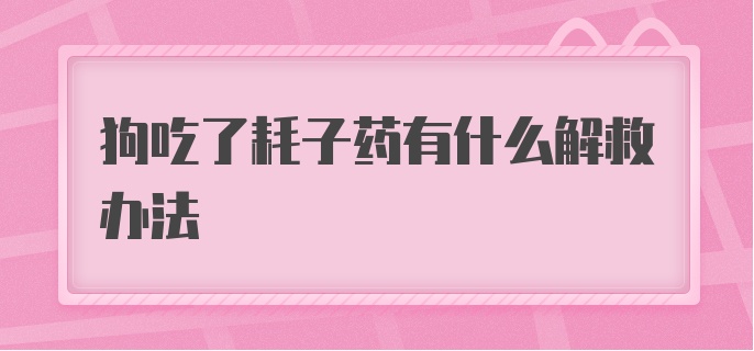 狗吃了耗子药有什么解救办法