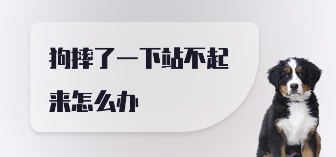 狗摔了一下站不起来怎么办