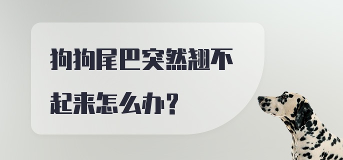 狗狗尾巴突然翘不起来怎么办？