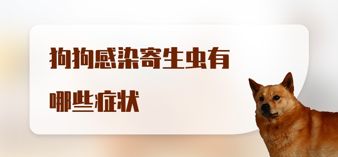 狗狗感染寄生虫有哪些症状