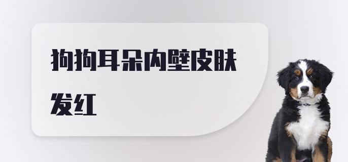 狗狗耳朵内壁皮肤发红