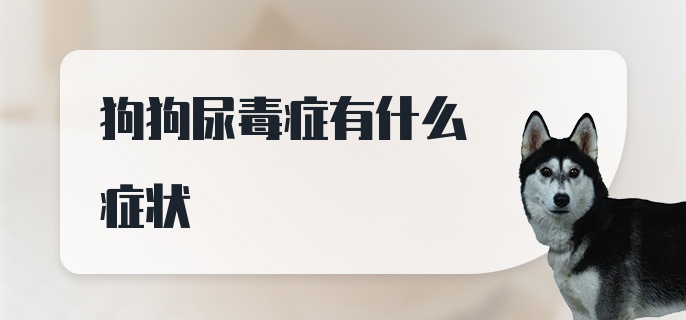 狗狗尿毒症有什么症状