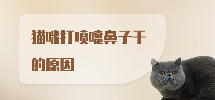 猫咪打喷嚏鼻子干的原因