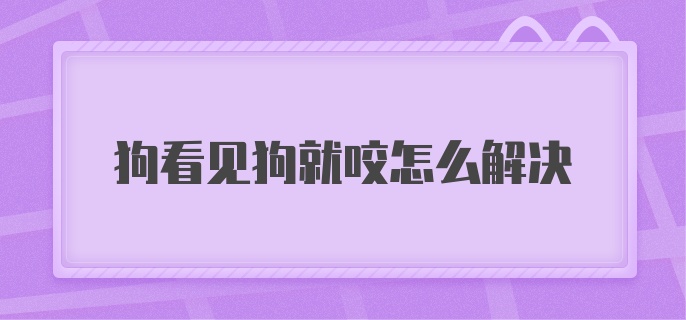 狗看见狗就咬怎么解决