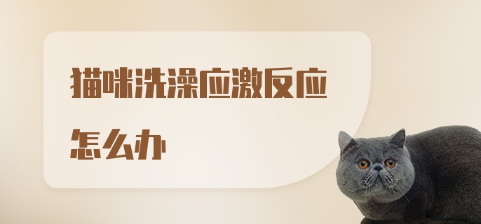 猫咪洗澡应激反应怎么办