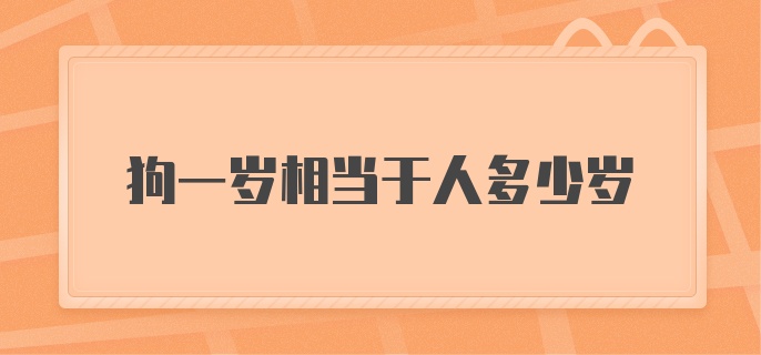 狗一岁相当于人多少岁