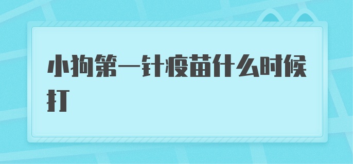 小狗第一针疫苗什么时候打