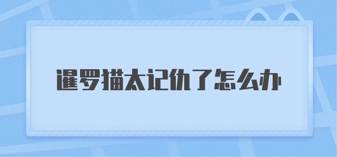 暹罗猫太记仇了怎么办