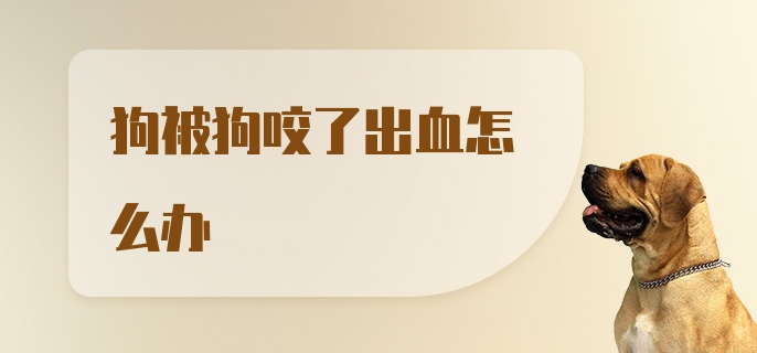 狗被狗咬了出血怎么办