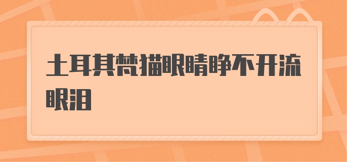 土耳其梵猫眼睛睁不开流眼泪