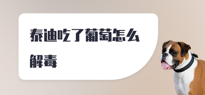 泰迪吃了葡萄怎么解毒