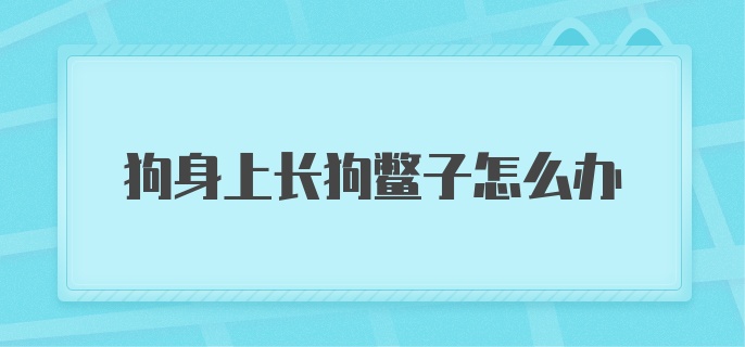 狗身上长狗鳖子怎么办