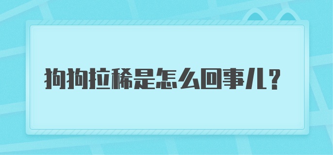 狗狗拉稀是怎么回事儿?