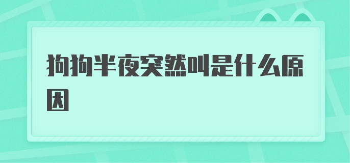 狗狗半夜突然叫是什么原因