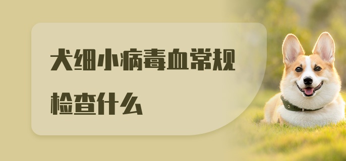 犬细小病毒血常规检查什么