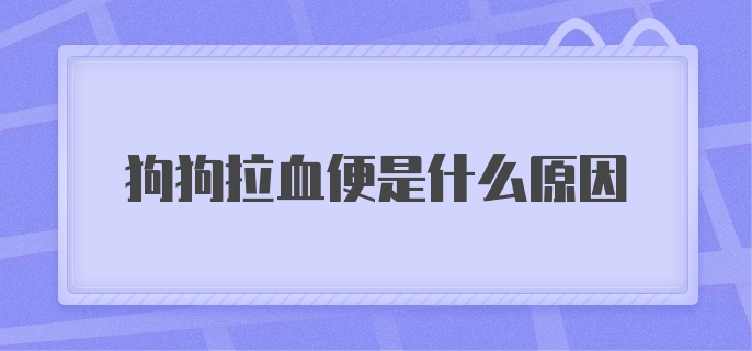 狗狗拉血便是什么原因