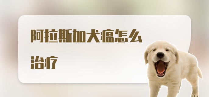 阿拉斯加犬瘟怎么治疗