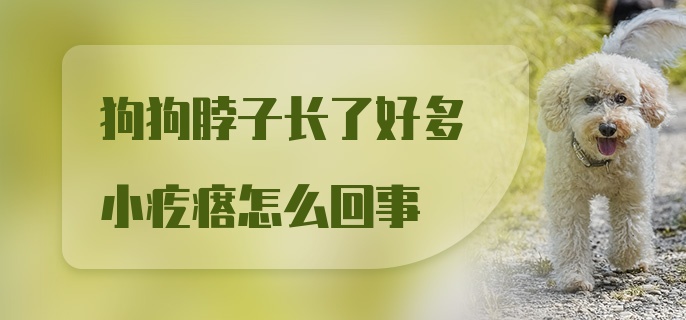 狗狗脖子长了好多小疙瘩怎么回事