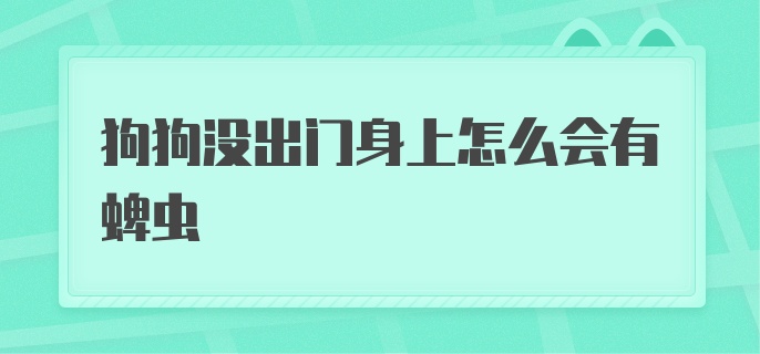 狗狗没出门身上怎么会有蜱虫