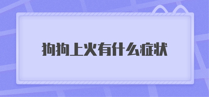 狗狗上火有什么症状