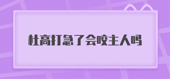 杜高打急了会咬主人吗