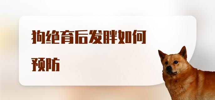 狗绝育后发胖如何预防