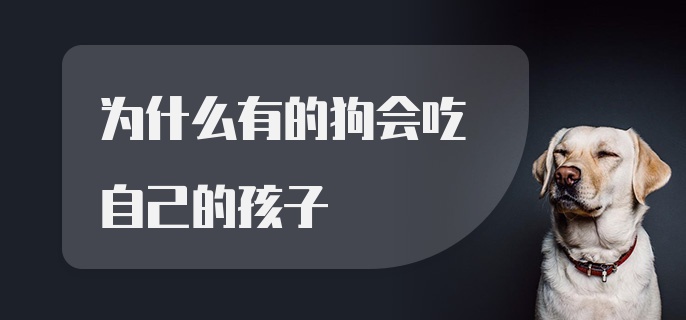 为什么有的狗会吃自己的孩子