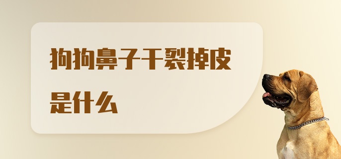 狗狗鼻子干裂掉皮是什么