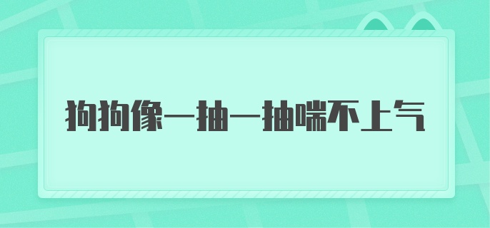 狗狗像一抽一抽喘不上气