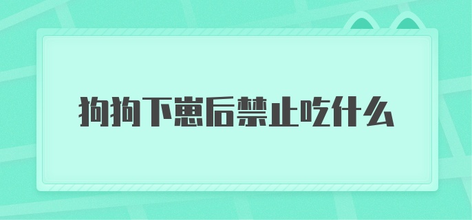 狗狗下崽后是禁止吃什么？吃什么最好