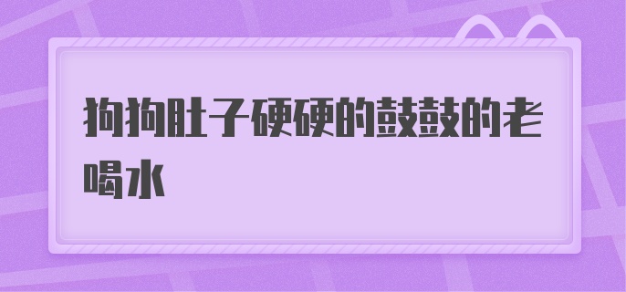 狗狗肚子硬硬的鼓鼓的老喝水