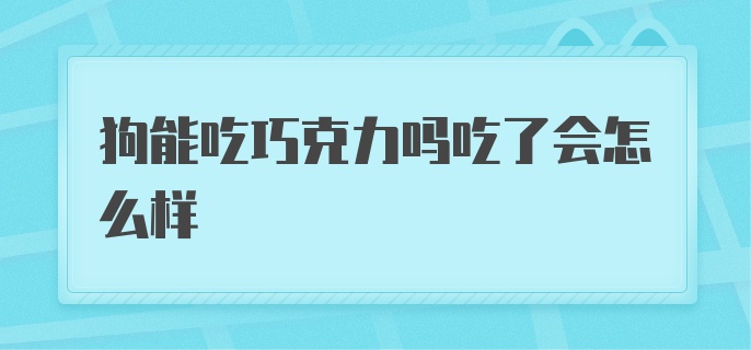 狗能吃巧克力吗吃了会怎么样