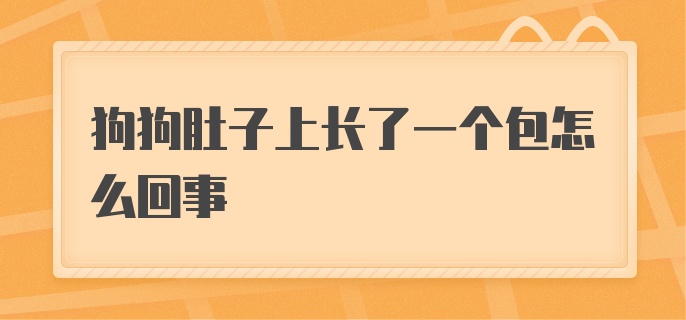 狗狗肚子上长了一个包怎么回事