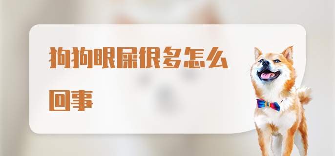 狗狗眼屎很多怎么回事