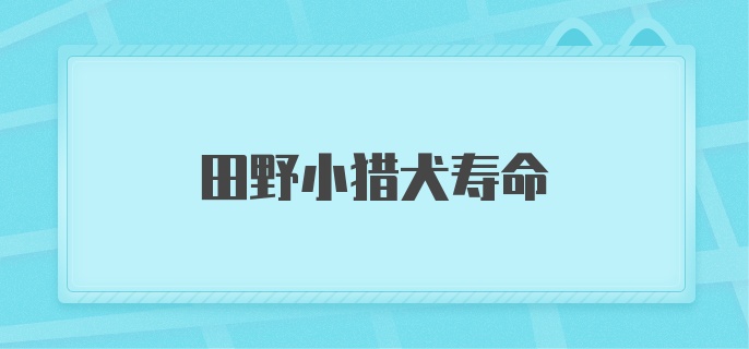 田野小猎犬寿命