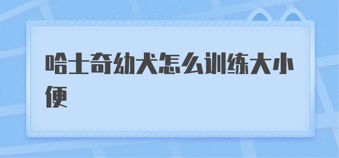 哈士奇幼犬怎么训练大小便