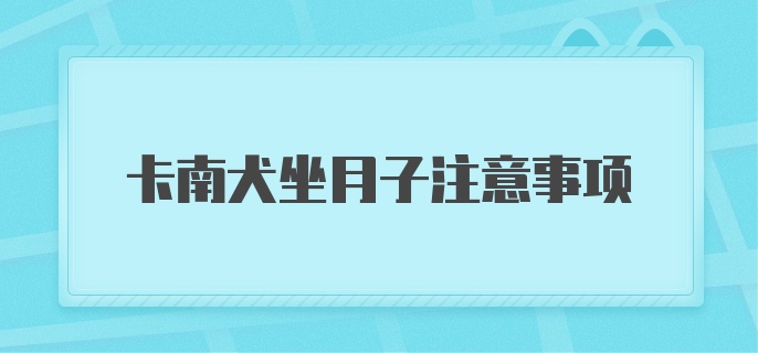 卡南犬坐月子注意事项