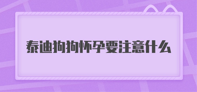 泰迪狗狗怀孕要注意什么