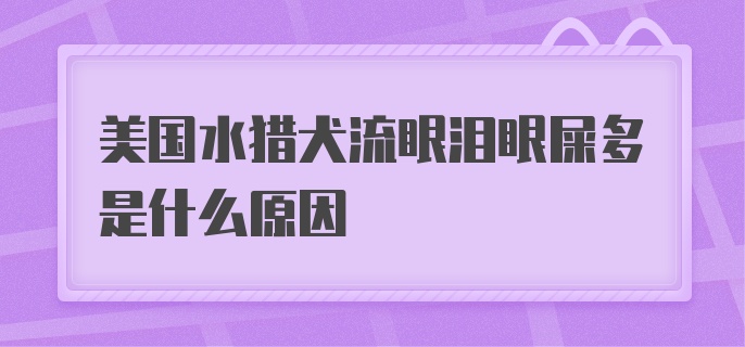 美国水猎犬流眼泪眼屎多是什么原因