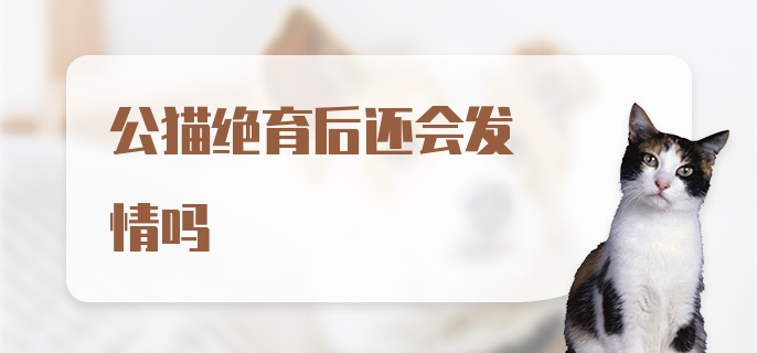 公猫绝育后还会发情吗