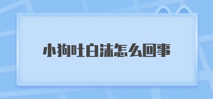 小狗吐白沫怎么回事