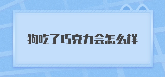 狗吃了巧克力会怎么样