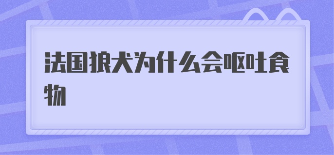 法国狼犬为什么会呕吐食物