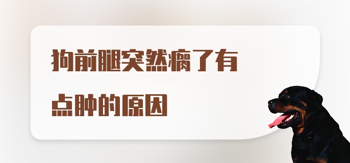 狗前腿突然瘸了有点肿的原因