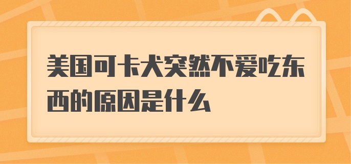 美国可卡犬突然不爱吃东西的原因是什么