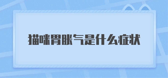 猫咪胃胀气是什么症状