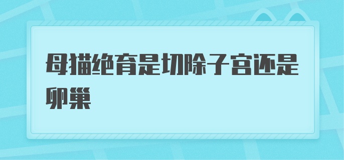 母猫绝育是切除子宫还是卵巢