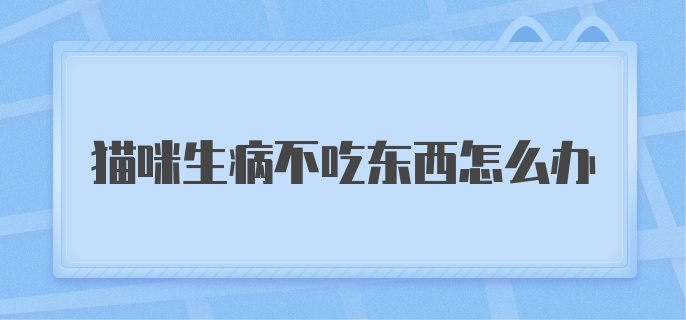 猫咪生病不吃东西怎么办